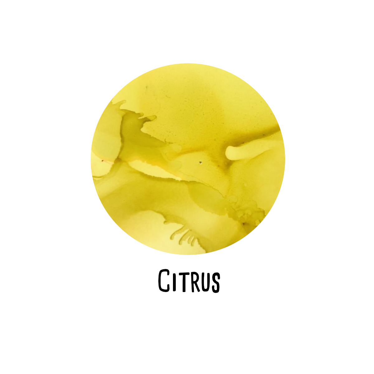 RANGERAlkoholinkstA5BSvalgfriefarverFASTLAVPRIS-01