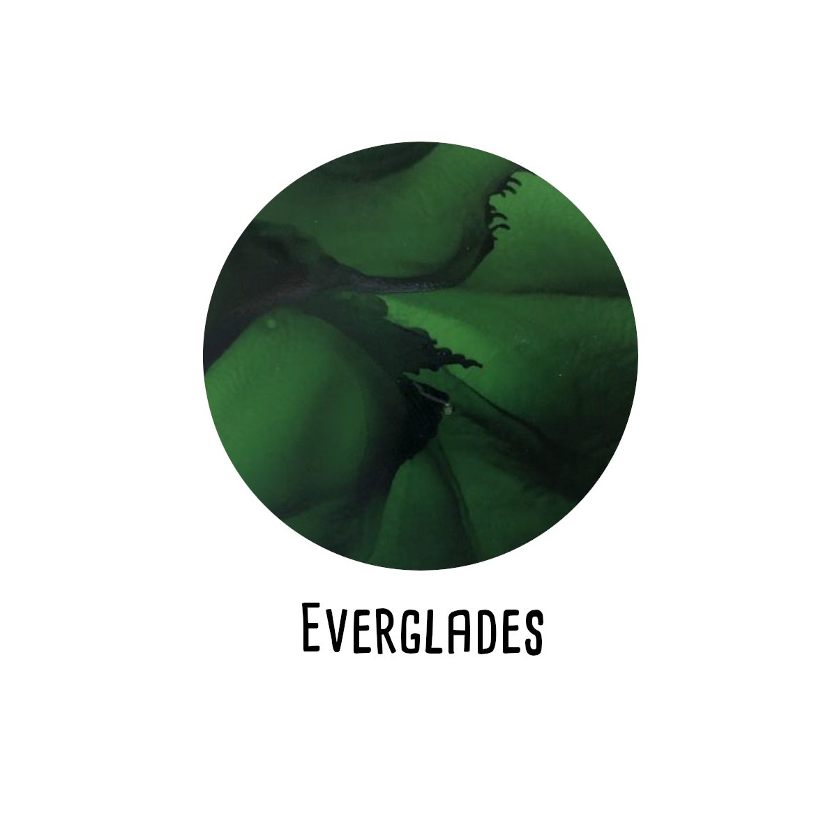 RANGERAlkoholinkstA5BSvalgfriefarverFASTLAVPRIS-01