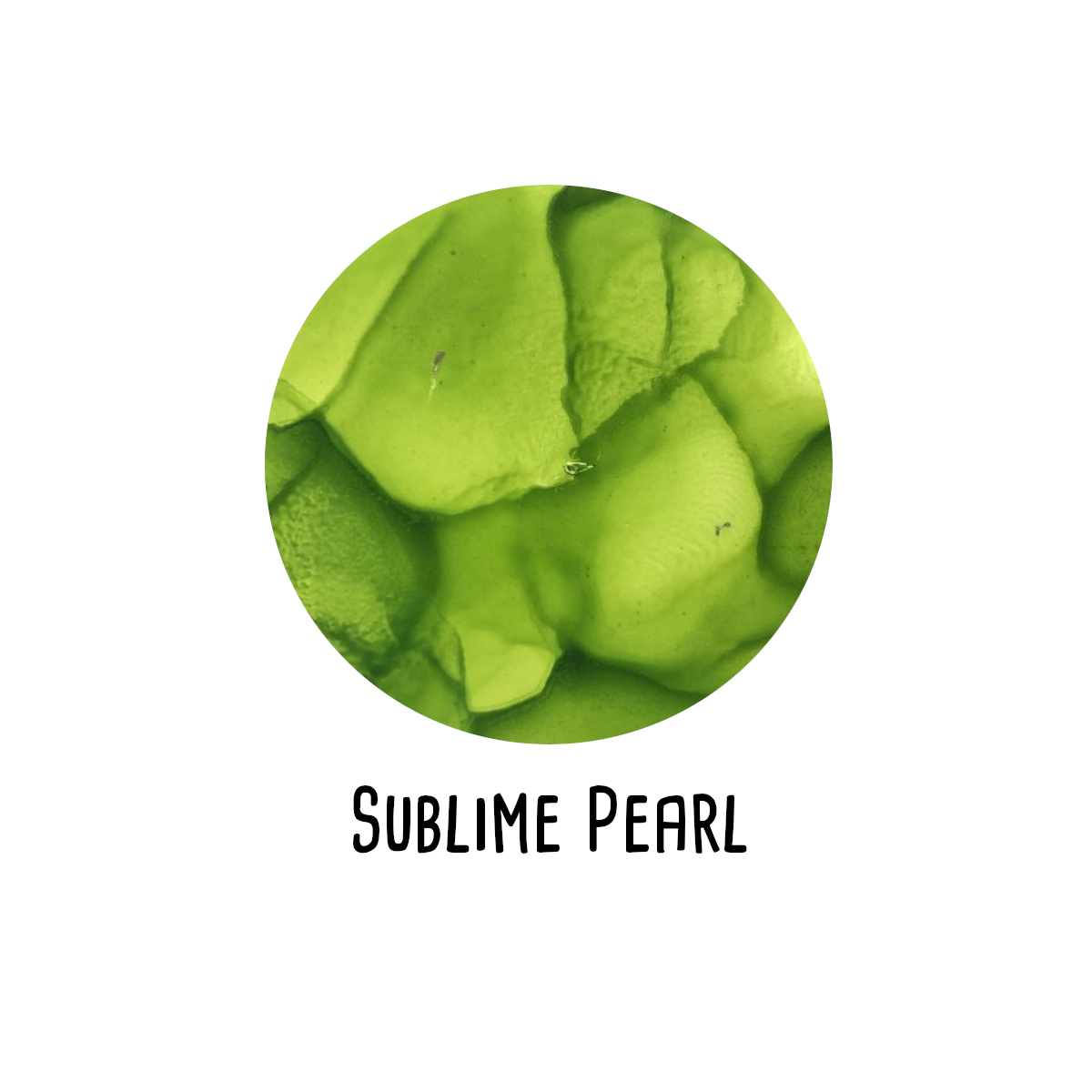 RANGERAlkoholinkstA5BSvalgfriefarverFASTLAVPRIS-01