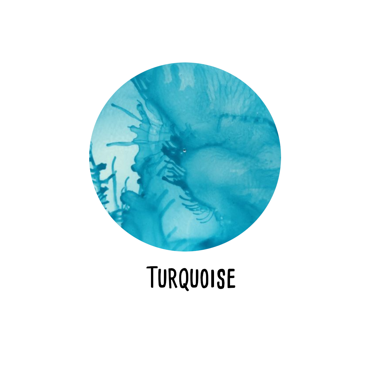 RANGERAlkoholinkstA5BSvalgfriefarverFASTLAVPRIS-01