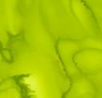 GY48 Yellow Green